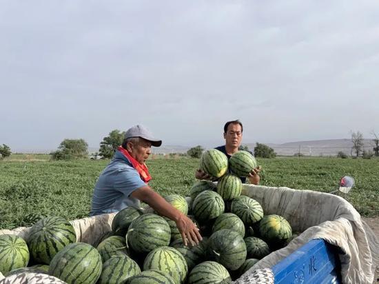西藏扎西枫丹娱乐吃瓜,吃瓜群众眼中的神秘娱乐王国  第1张